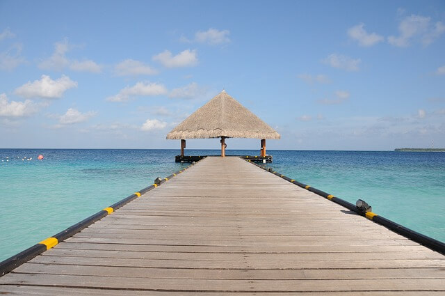 해외 현지 축제 의상 직접 빌려 입고 퍼레이드 참여해서 현지인들과 하나 되어 즐긴 특별한 날